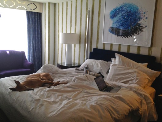 More room service, Ruby?